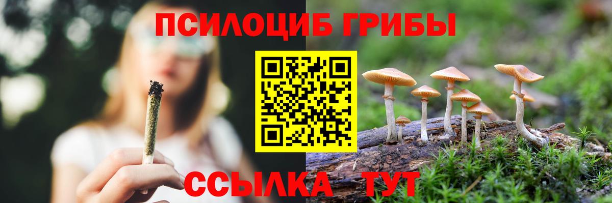 Галлюциногенные грибы Cubensis Ульяновск